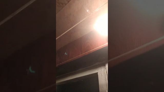 Потоп в Квартире Видео смотреть онлайн