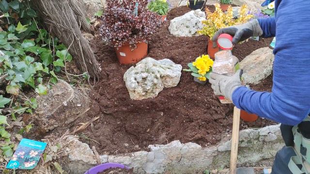 STARTING A BORDER FROM SCRATCH PHASE 2 смотреть онлайн