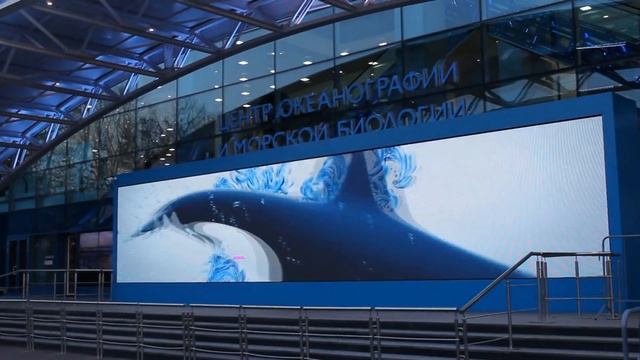 МОСКВА / ГУМ / МОСКВАРИУМ / VLOG Часть 1\2 смотреть онлайн
