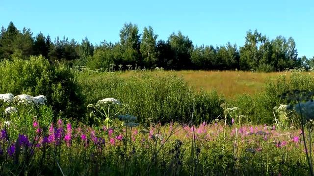 СВЯЗЬ МЕЖДУ СОБЫТИЯМИ И ЛЮДЬМИ. Как всё происходит! Мастер Авеста, Академия Духа, духовные практики смотреть онлайн