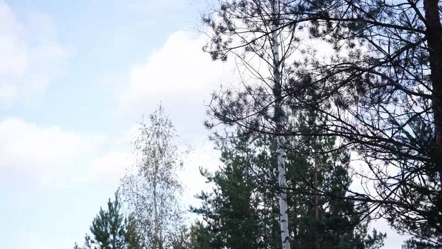 Реалити "Строим баню с 0". Стройка банного комплекса, часть 1. Смотрим участок с фундаментом смотреть онлайн