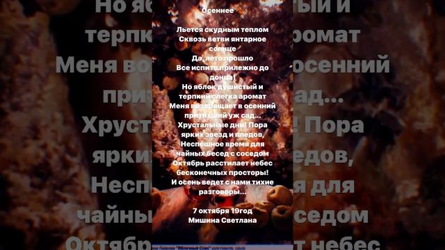 Льётся скудным тёплом… Стихи. Светлана Мишина #поэзия #стихи #ценности #состояние_потока #осень смотреть онлайн