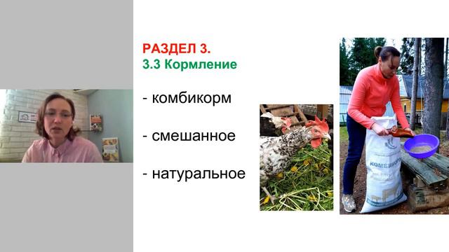 Вебинар. Как завести кур и избежать ошибок начинающего куровода. 2020 год