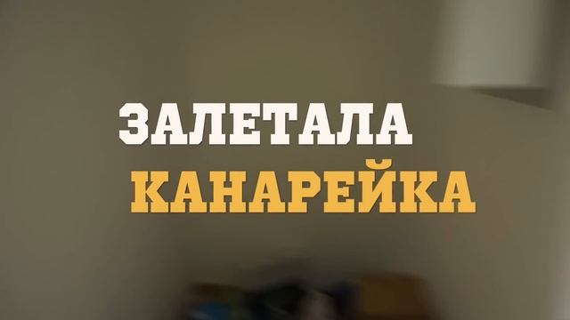 Однокомнатная квартира | ДИЗАЙН ИНТЕРЬЕРА для семьи с ребенком | Vittoria Selina смотреть онлайн