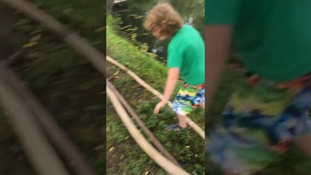 Поймали на платнике сома и карпа и решили дать им второй шанс в диком пруду смотреть онлайн