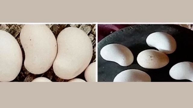 Курица несёт яйца похожие на орехи кешью смотреть онлайн