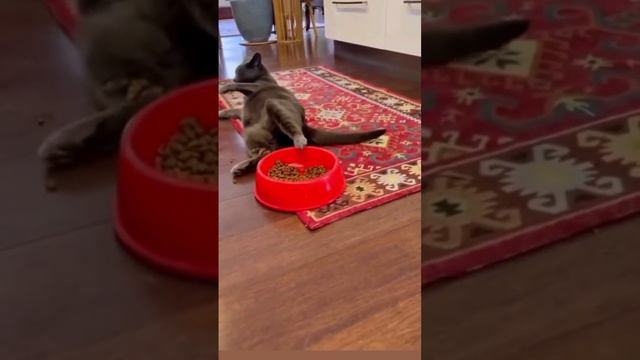 Ты не ты, когда голоден смотреть онлайн