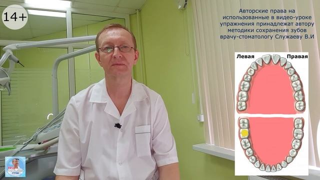 Урок 5 ПРАКТИЧЕСКОЕ ЗАДАНИЕ: общаемся со своими зубами и их считаем. Лайфхак от стоматолога смотреть онлайн