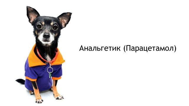 Человеческие лекарства опасные для домашних животных. смотреть онлайн