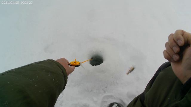 Секретная насадка при ловли окуня и плотвы в глухозимье. смотреть онлайн