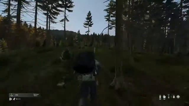 Dayz - Hunting with the VSS смотреть онлайн
