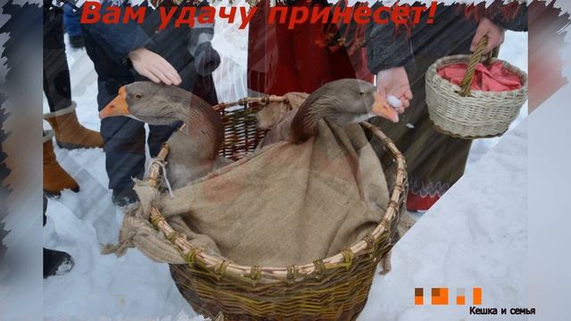 Коляда, Коляда! Как ходила Коляда. смотреть онлайн