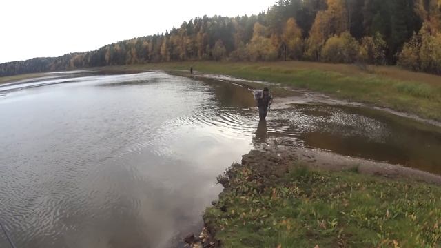 На рыбалку с дедом и Николаем. Окунь на вертушку. смотреть онлайн