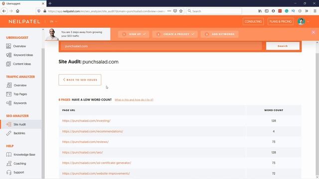 How to Do a Technical SEO Audit (3 Free Tools - Incl. Google SEO Checker) смотреть онлайн