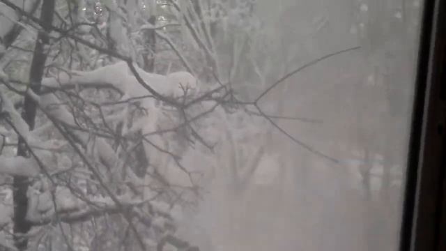 Уборка снега с крыши с вида из балкона. [No comments] смотреть онлайн