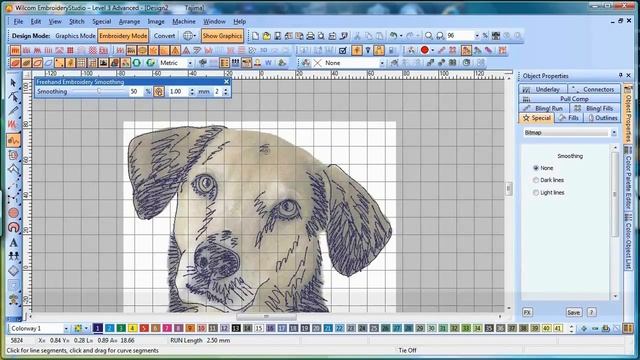 Freehand Embroidery - Wilcom's EmbroideryStudio