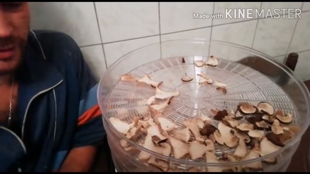 Сушка грибов || 2 часть смотреть онлайн