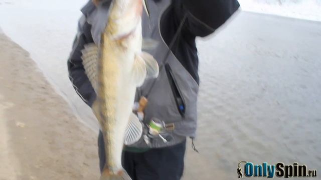 Ловля судака на воблеры смотреть онлайн