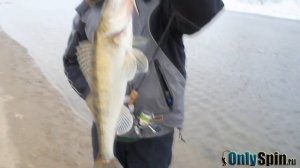 Ловля судака на воблеры