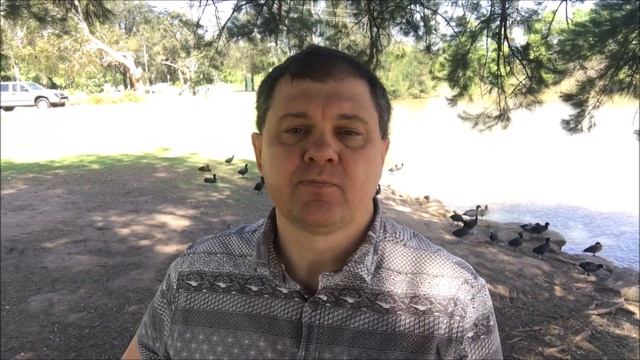 Иммиграция в Австралию поваром: учимся с нами! [1Australia]#2230