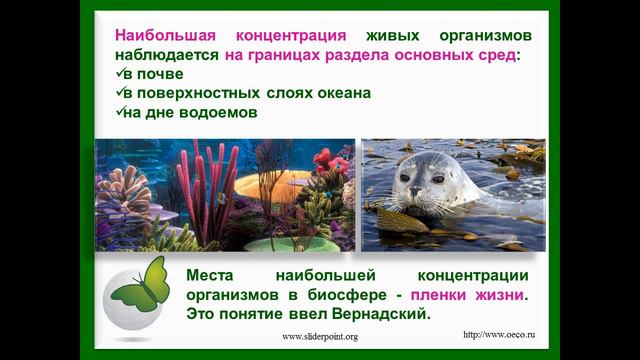 Биосфера смотреть онлайн