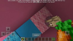 Огромная капсула LOL PETS Анука-давайка майнкрафт!!