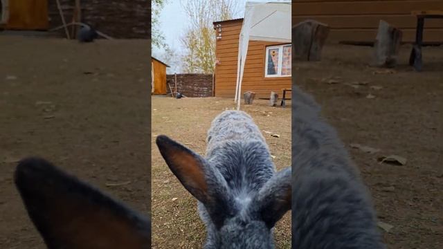 Северная сказка парк смотреть онлайн