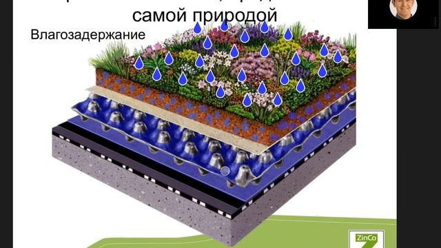 Видео-урок от ZinCo - Устройство системы, продиктованное самой природой смотреть онлайн
