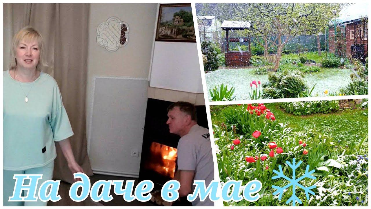 СНЕГОПАД и МОРОЗ в мае Зима вернулась В теплицу страшно заходить.Что с рассадой?Любимый Василек смотреть онлайн