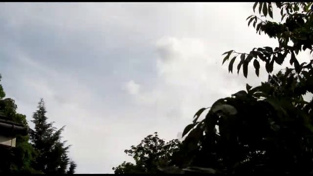 Canon SX210IS CHDK Firmware Hack - Timelapse Test смотреть онлайн
