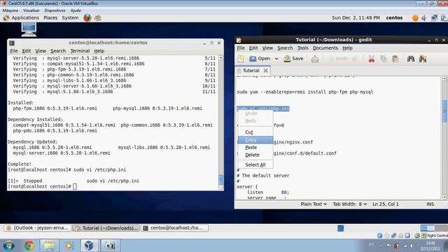 Como Instalar o Nginx, PHP e Mysql no CentOS смотреть онлайн