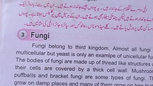 Understanding About Fungi and Examples Of Fungi || 5th Class Urdu Science Fungi Kingdoms