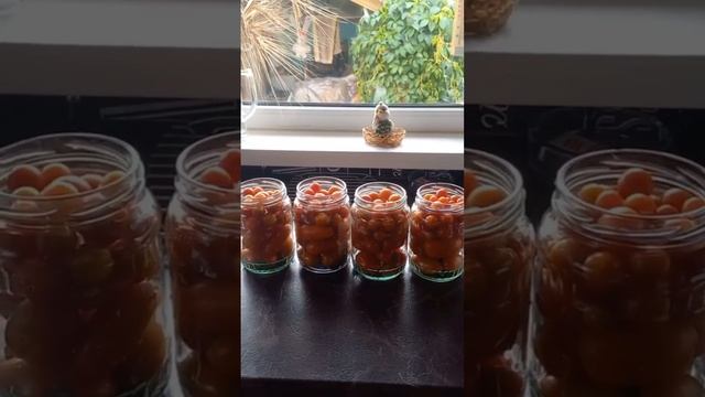 Рецет «маринованные помидоры в желатине»