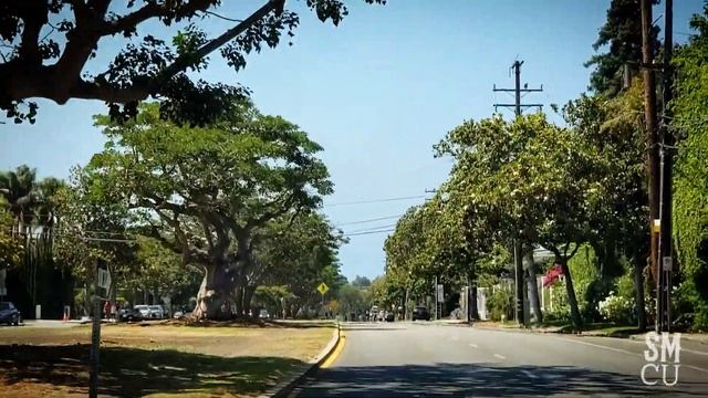 San Vicente Boulevard in Santa Monica смотреть онлайн