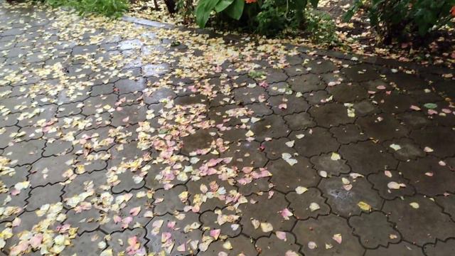 Всем красивого и доброго летнего вечера!