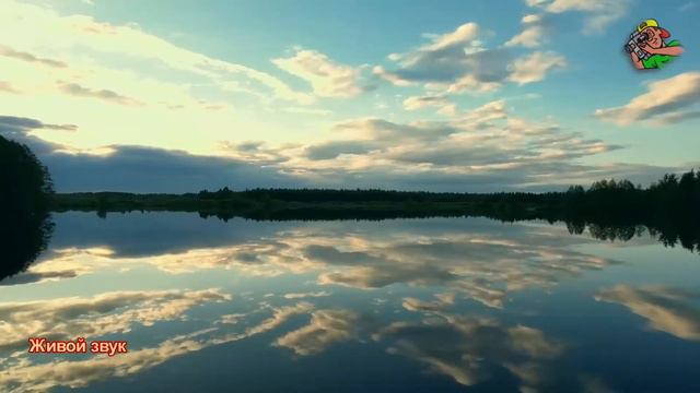 Алексей Петрухин     Дым