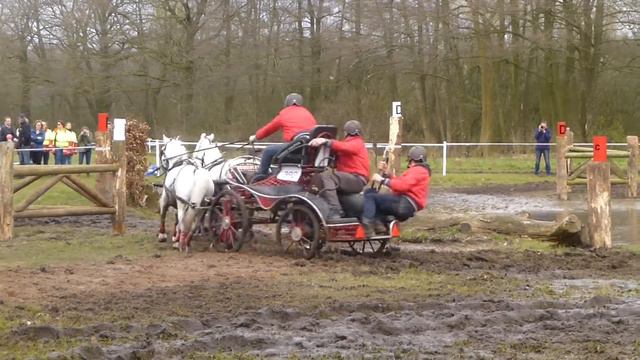 VAN DYCK, Thomas, BEL, CAI2 Ermelo NED 2016, Pony Four in hand, Marathon Ob 4 смотреть онлайн