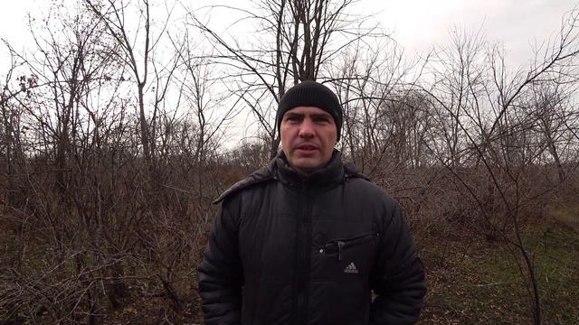 5 ошибок начинающих пчеловодов при организации пасеки смотреть онлайн