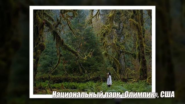 Слайд шоу на тему - Наш мир прекрасен и без фотошопа смотреть онлайн