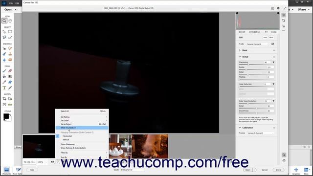 Learn How to Use the Filmstrip in Camera Raw in Adobe Photoshop Elements 2023: A Training Tutorial смотреть онлайн