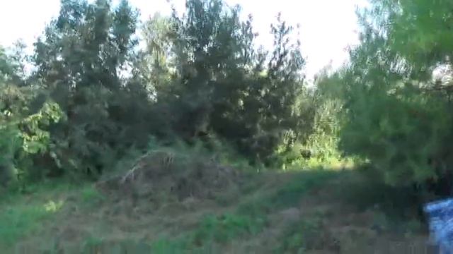 На саманном дети с картошкой и батюшка с черёмухой.  15. 07. 2020