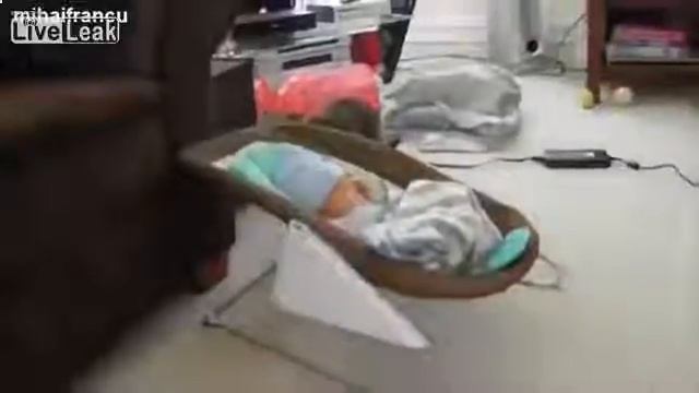 Реакция_собак_и_кошек_на_новорожденных_детей._Смешное_видео. смотреть онлайн