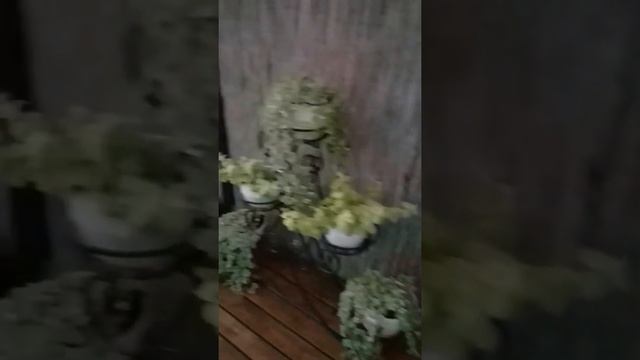 Гостевой дом "Wood Villadge" сезон 2017 часть1 смотреть онлайн