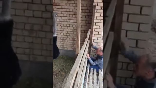 Страус против мужика смотреть онлайн