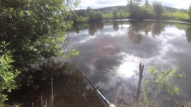 Релакс-прогулка со спиннингом по реке Свислочь. Поиск новых мест... смотреть онлайн