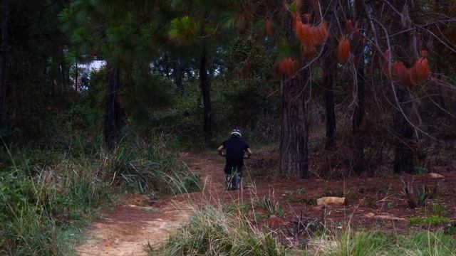MY DOWNHILL BIKE CHECK! - Specialized Demo 8 I смотреть онлайн