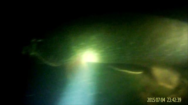 ПОДВОДНАЯ ОХОТА НА ВОЛГЕ В САРАТОВСКОЙ ОБЛ. (СОМ, КРУПНЫЕ ЩУКИ) смотреть онлайн