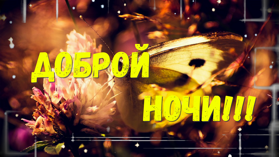 Доброй Ночи Сладких Снов! Пожелание Доброй Ночи смотреть онлайн