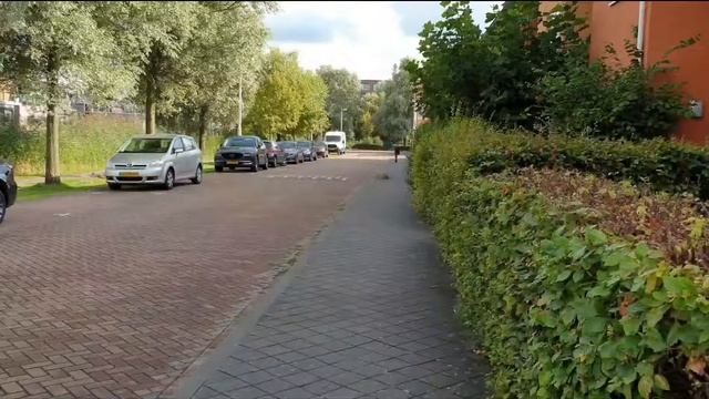 Fun with My Dad's Electric Scooter смотреть онлайн