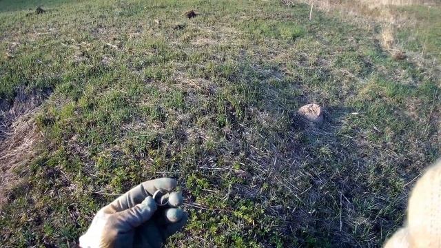 Серебро с ТХ-850 смотреть онлайн